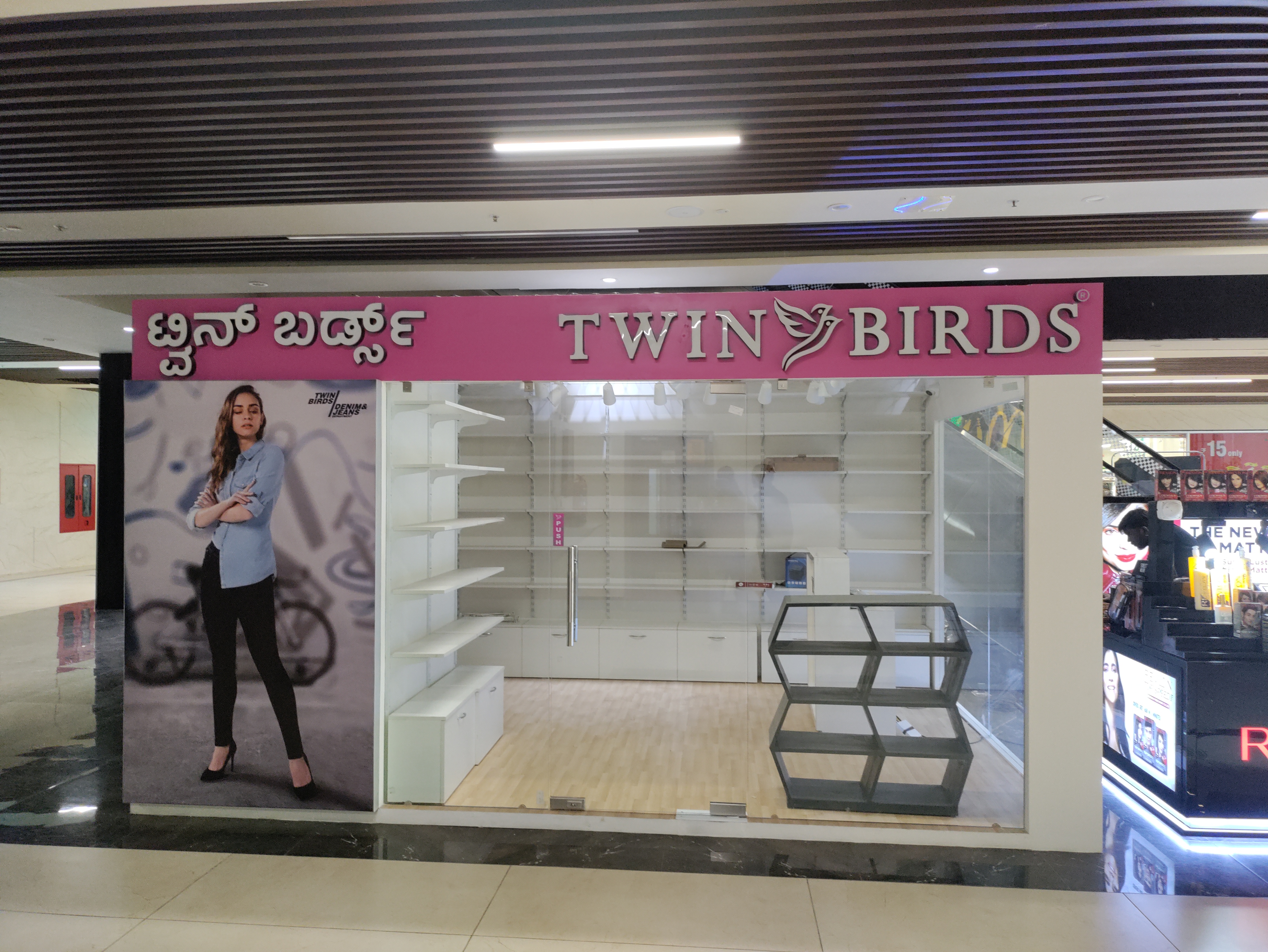 birds